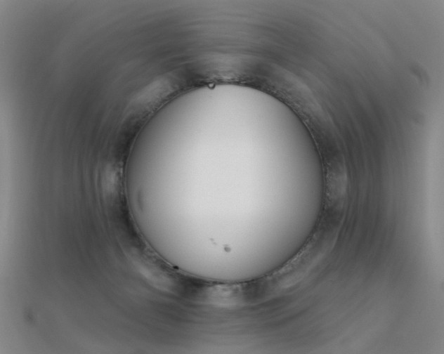 X0000112360126200908131504