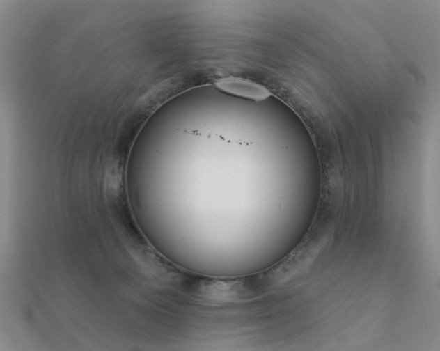 X0000112360129200908131504