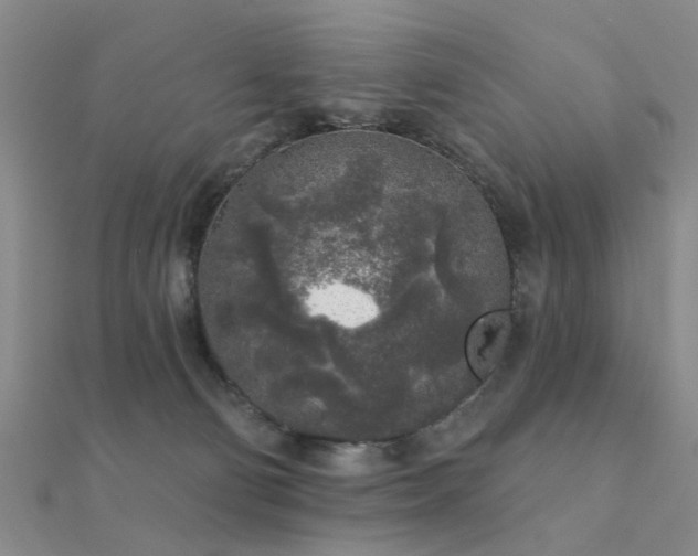 X0000112360130200908131504