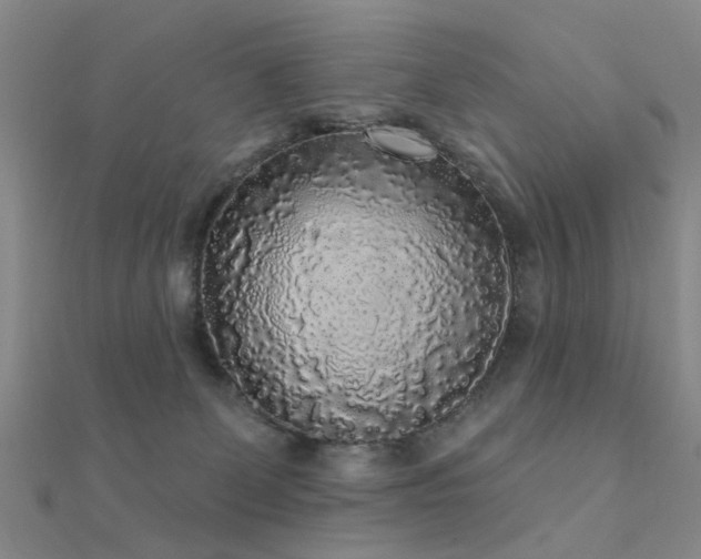 X0000112360131200908131504