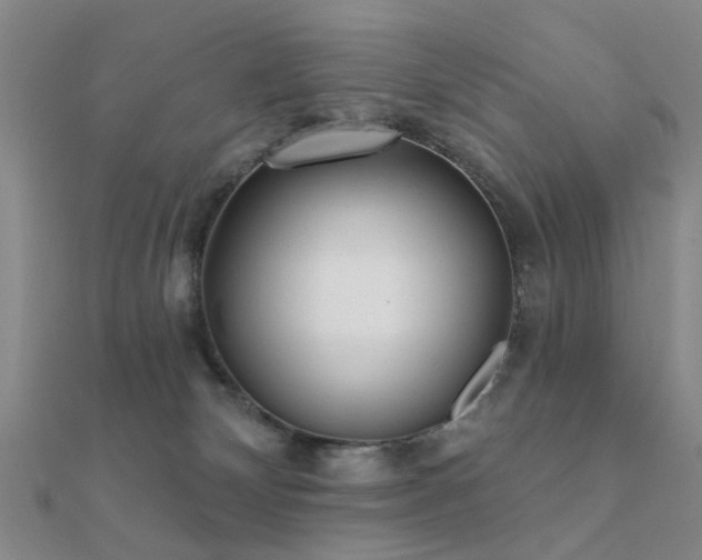 X0000112360132200908131504