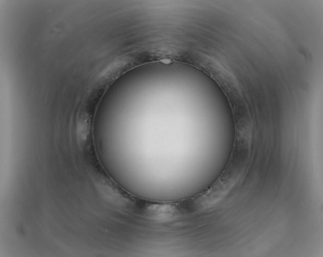X0000112360133200908131504