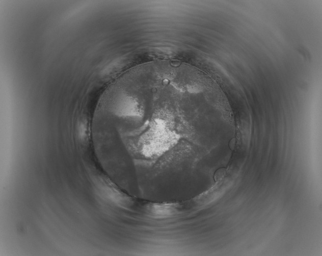 X0000112360134200908131504