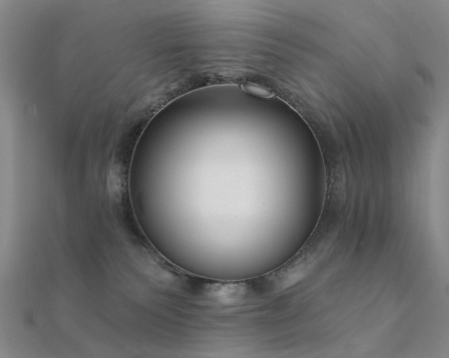 X0000112360135200908131504