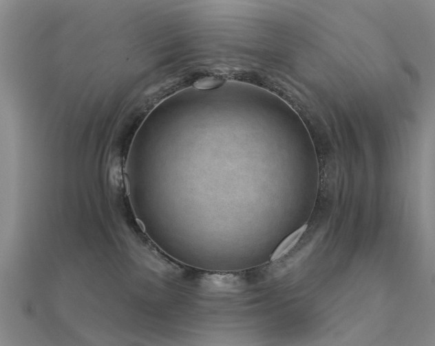 X0000112360137200908131504