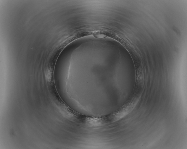 X0000112360139200908131504