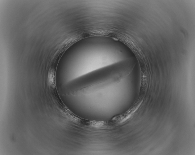 X0000112360143200908131504