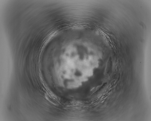X0000112360145200908131503