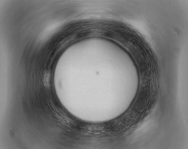 X0000112360146200908131503