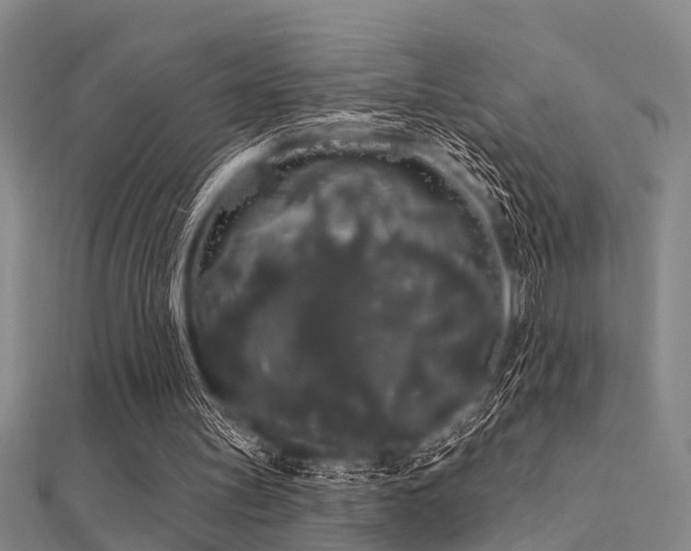 X0000112360147200908131503