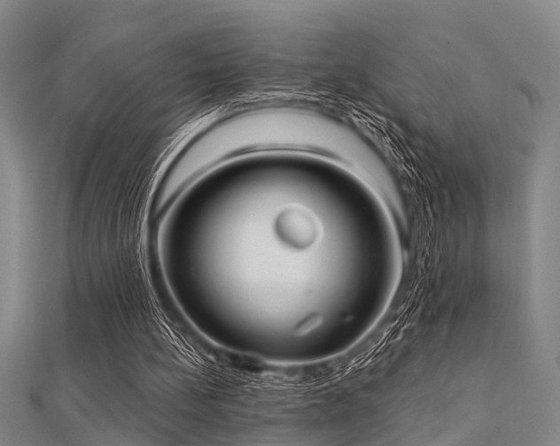 X0000112360148200908131503