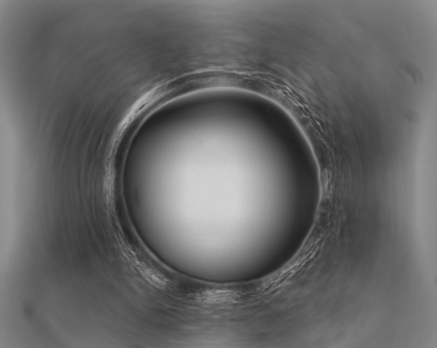 X0000112360150200908131503