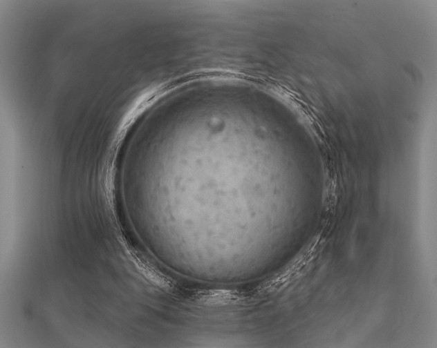 X0000112360151200908131503