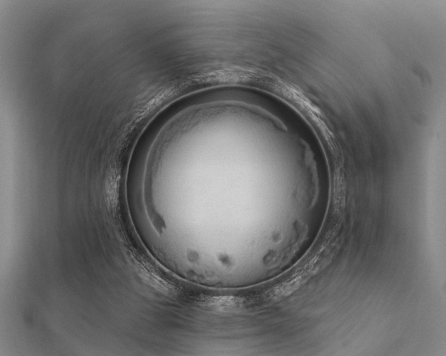 X0000112360153200908131503