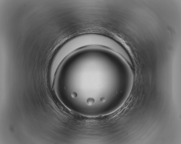 X0000112360154200908131503
