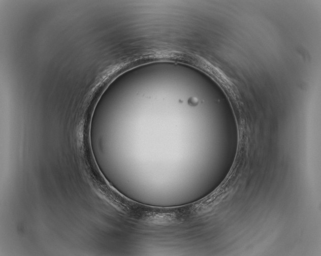 X0000112360155200908131503