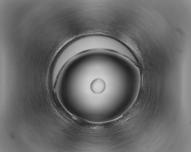 X0000112360156200908131503