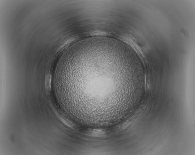 X0000112360157200908131503
