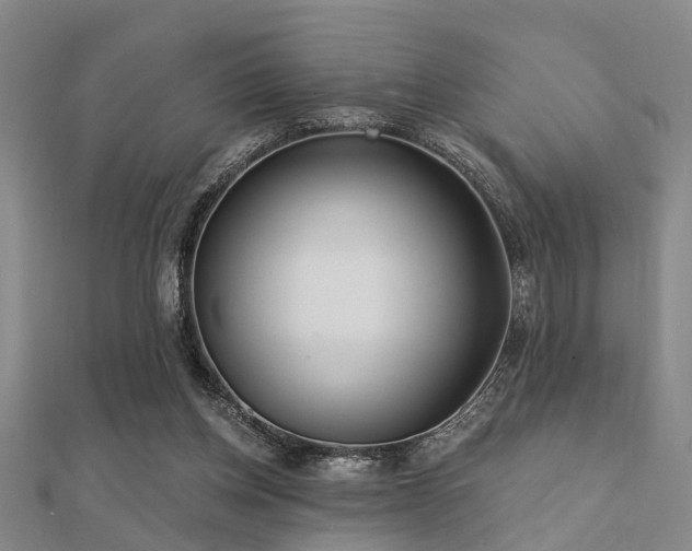 X0000112360158200908131503