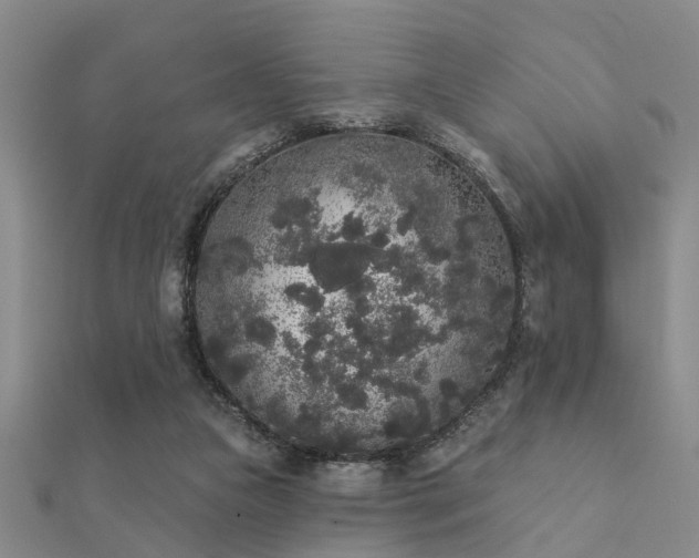 X0000112360161200908131503