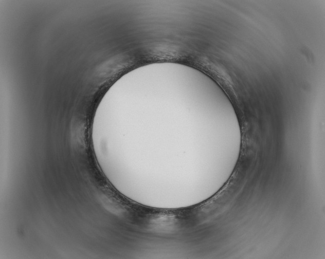 X0000112360162200908131503