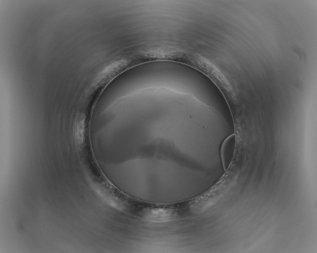 X0000112360163200908131503