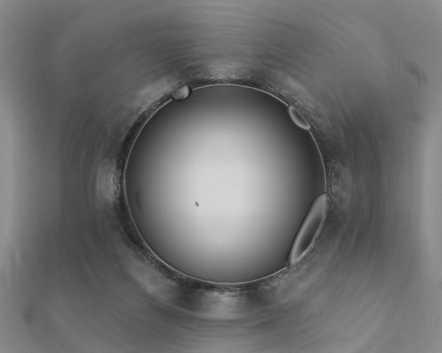 X0000112360164200908131503