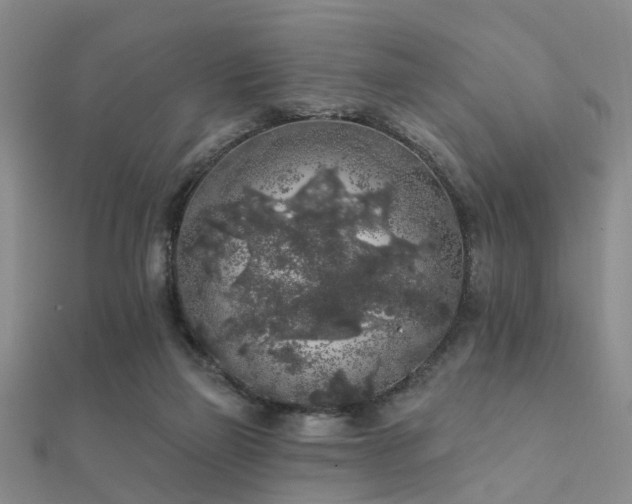 X0000112360165200908131503