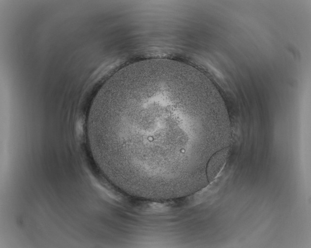 X0000112360166200908131503