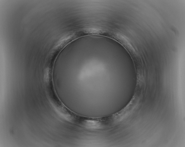 X0000112360167200908131503