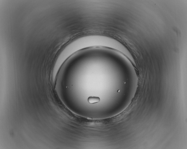 X0000112360168200908131503