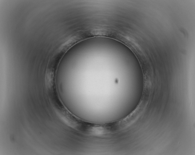 X0000112360171200908131503