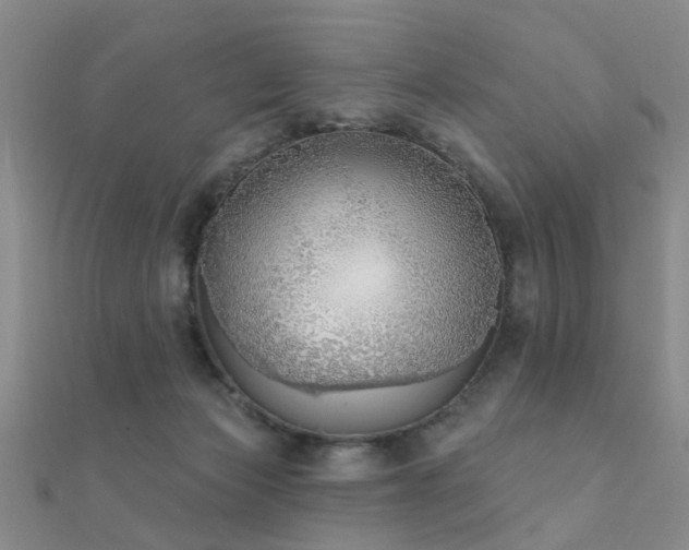 X0000112360173200908131503