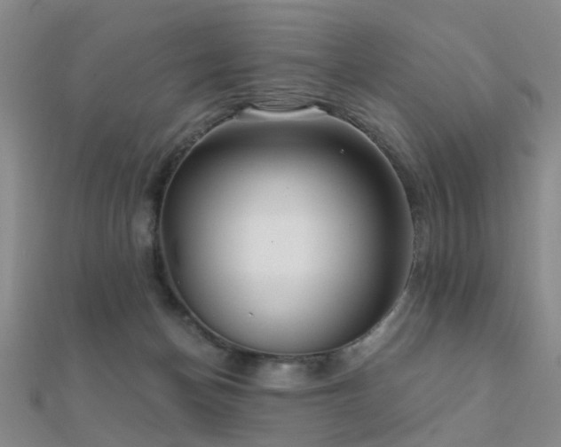X0000112360174200908131503