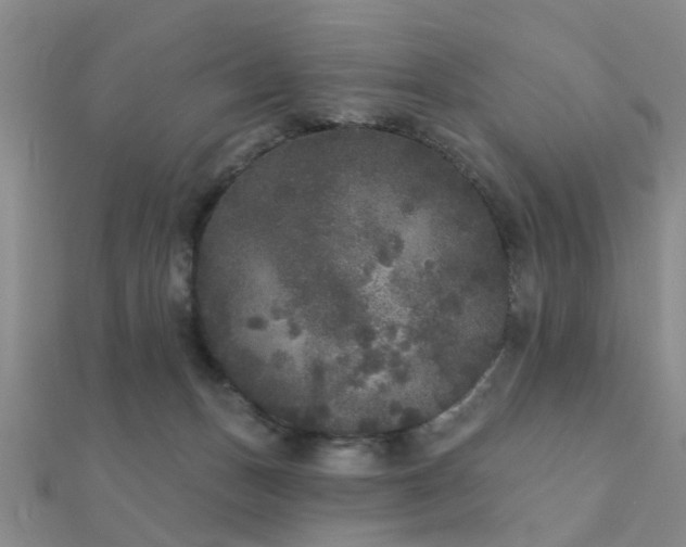 X0000112360175200908131503