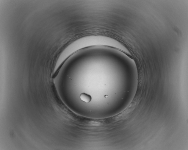 X0000112360176200908131503