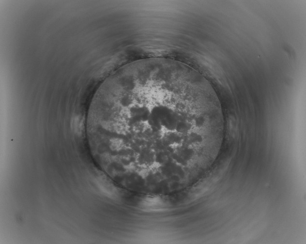 X0000112360177200908131503