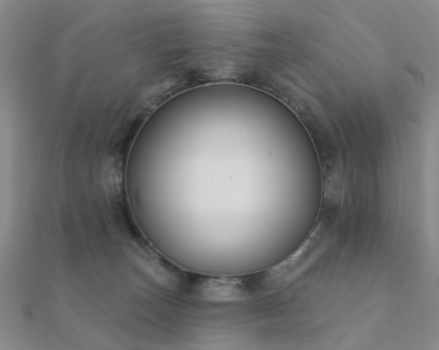 X0000112360179200908131503