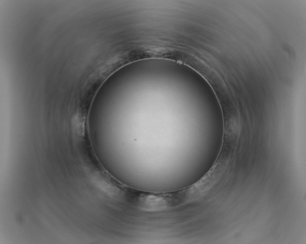 X0000112360180200908131503