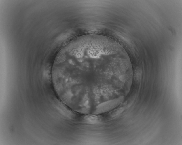 X0000112360181200908131504