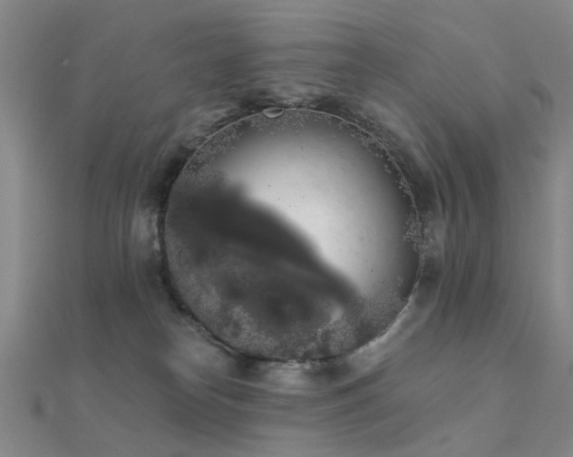X0000112360182200908131504