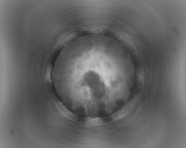 X0000112360185200908131504