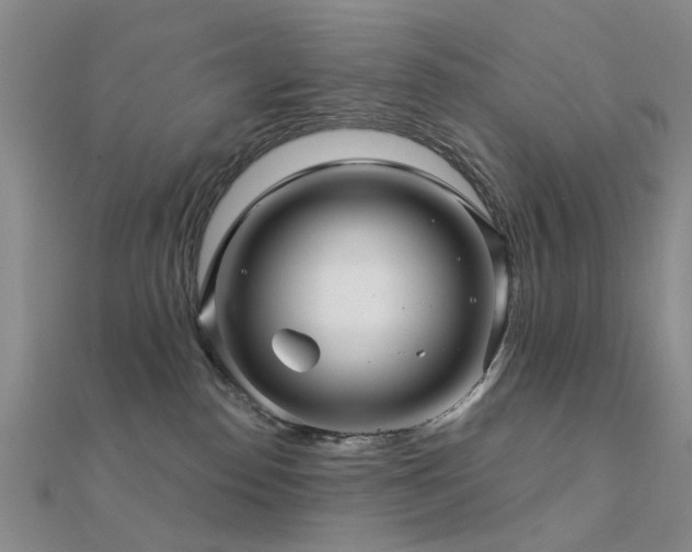 X0000112360186200908131504
