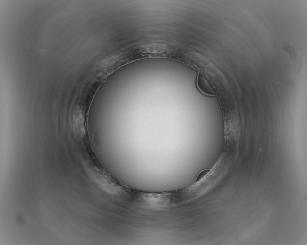 X0000112360187200908131504