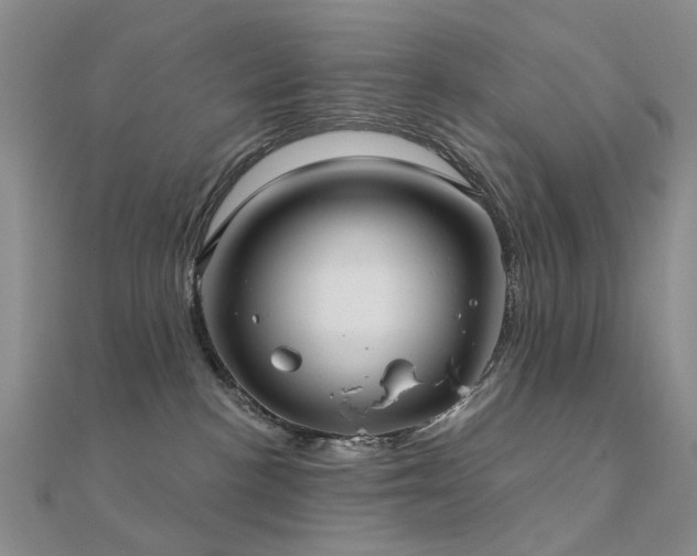 X0000112360188200908131504