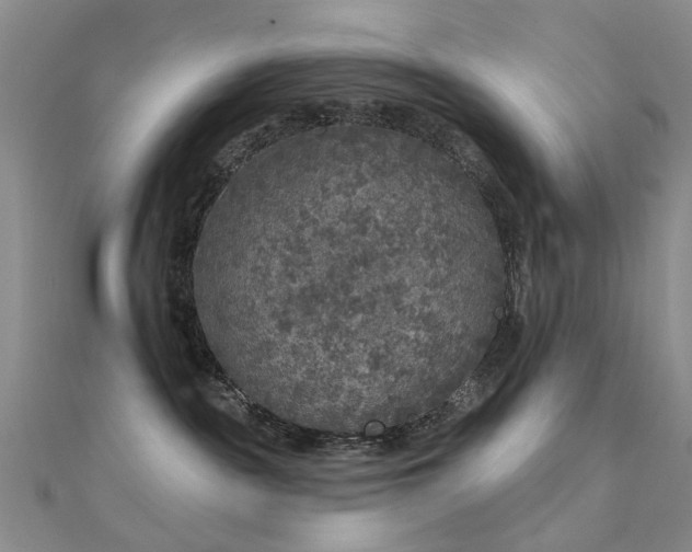 X0000112360189200908131504