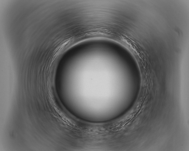 X0000112360193200908131503
