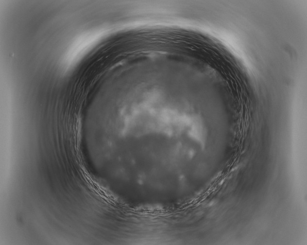 X0000112360194200908131503