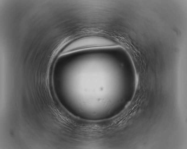 X0000112360195200908131503