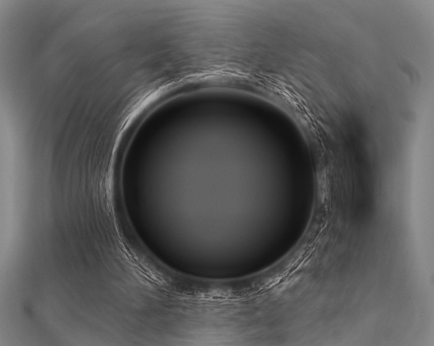 X0000112360196200908131503